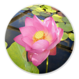 Pomo De Cerámica Tumba cerámica de Lily Agua