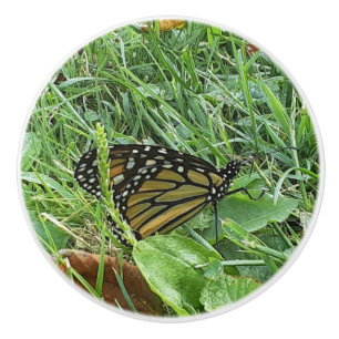 Pomo De Cerámica Una mariposa monarca