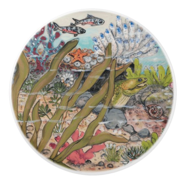 Pomo De Cerámica Vida marina costera Moray Eel Pescado submarino (Anverso)