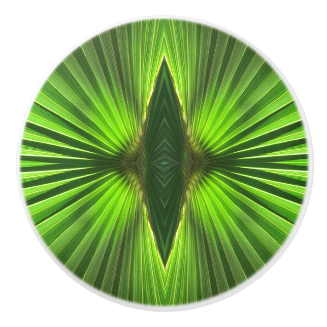 Pomo De Cerámica Vida palma | Fruto verde de la palma (Anverso)