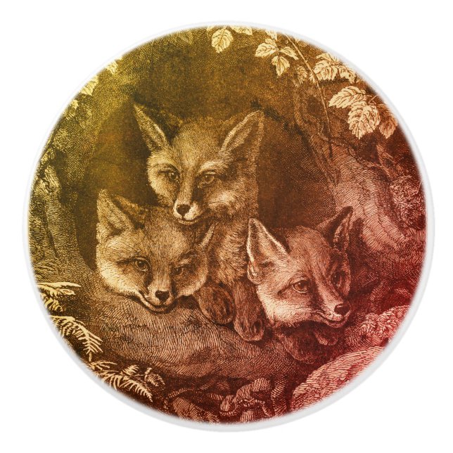 Pomo De Cerámica Vintage baby fox woodland (Anverso)
