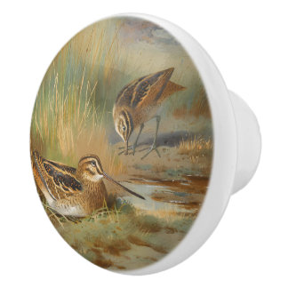 Pomo De Cerámica Vintage ilustró aves de francotirador, aves