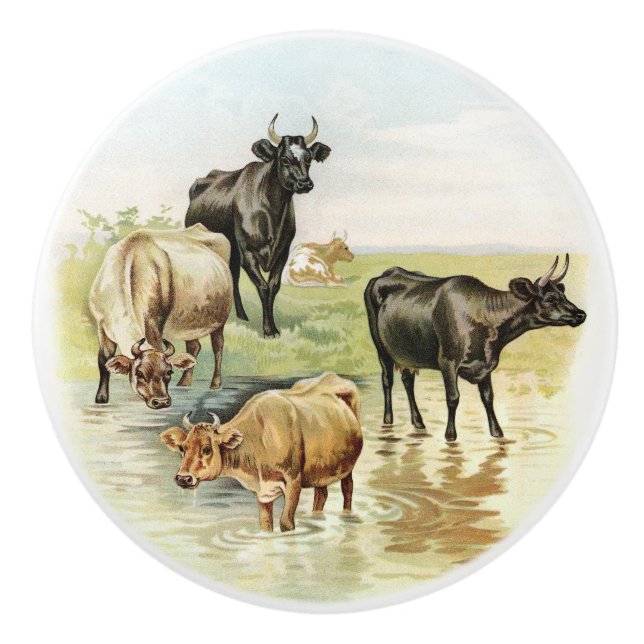 Pomo De Cerámica Vintage Style Country Farm Cows (Anverso)