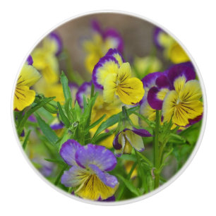 Pomo De Cerámica Viola Ceramic Knob