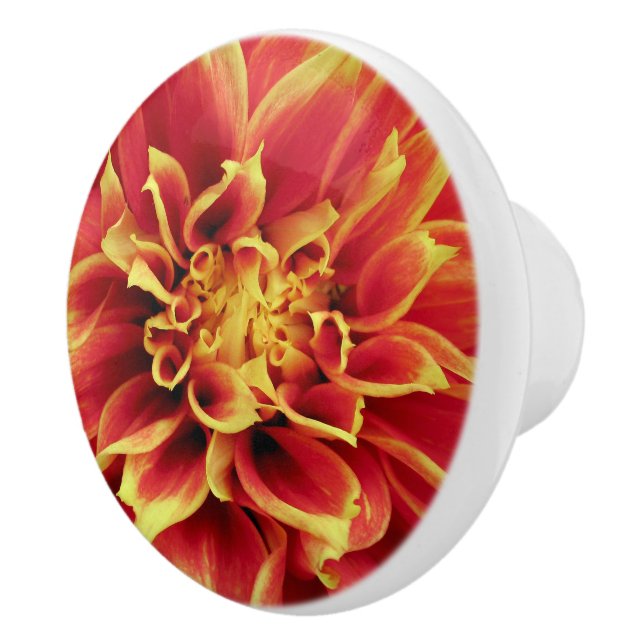 Pomo De Cerámica Vivid Naranja Dahlia Closeup Drawer Knob (Derecha)