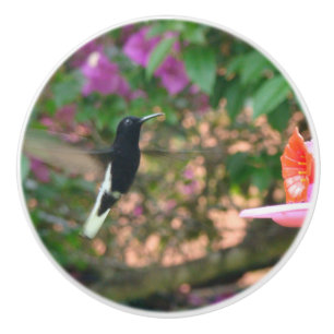 Pomo De Cerámica Vuelo blanco y negro del colibrí en un alimentado