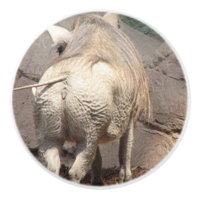 Pomo De Cerámica Warthog (Anverso)