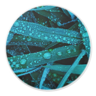 Pomo De Cerámica Water Drops Along the Grass