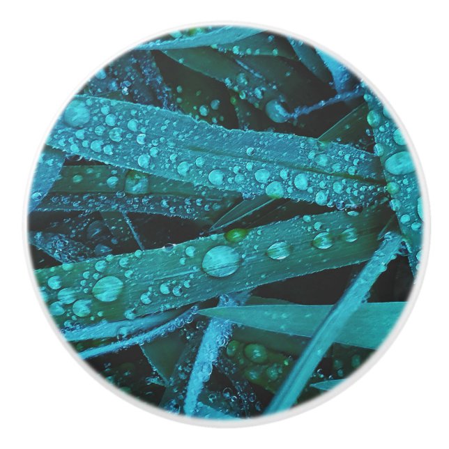 Pomo De Cerámica Water Drops Along the Grass (Anverso)