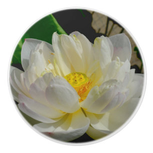 Pomo De Cerámica Water Lily Knob