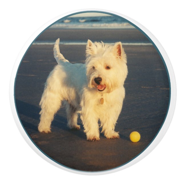 Pomo De Cerámica Westie (Anverso)