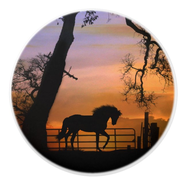 Pomo De Cerámica Whimsical Horse Knobs (Anverso)