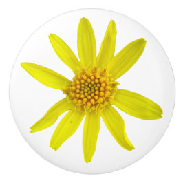 Pomo De Cerámica Wildflower amarillo botánico de la árnica en
