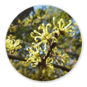 Pomo De Cerámica Witch Hazel Flowers