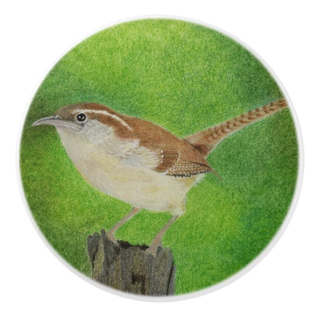 Pomo De Cerámica Wren (Anverso)