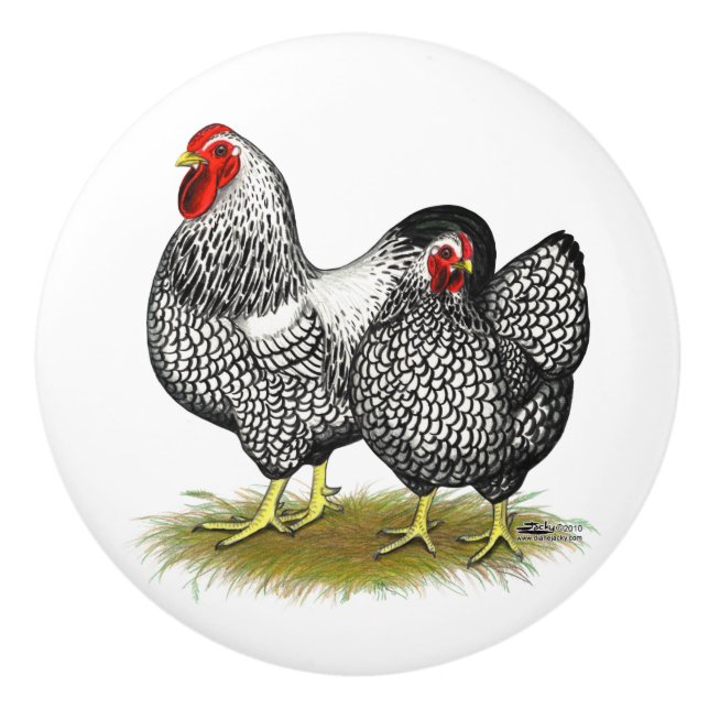 Pomo De Cerámica Wyandotte:  Pares de plata (Anverso)