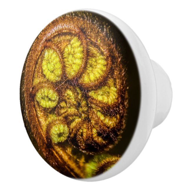 Pomo De Cerámica Young Fern Leaves (Derecha)