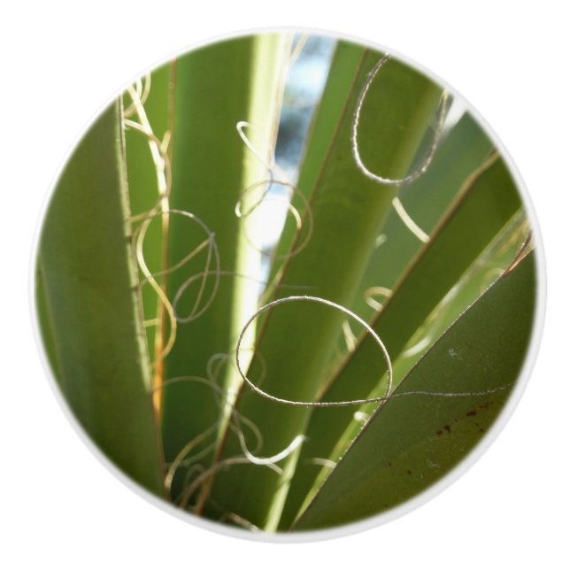 Pomo De Cerámica Yucca deja fotografía verde de la naturaleza (Anverso)