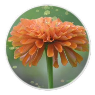 Pomo De Cerámica Zazzled Zinnia Ceramic Knob