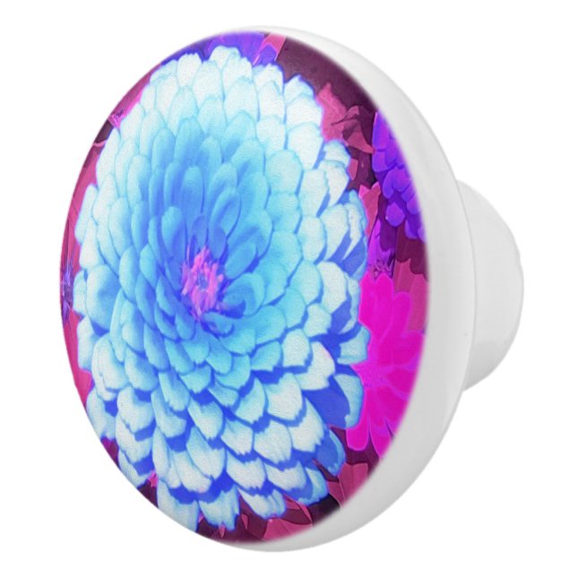 Pomo De Cerámica Zinnia azul bonito en el jardín de verano morado (Derecha)