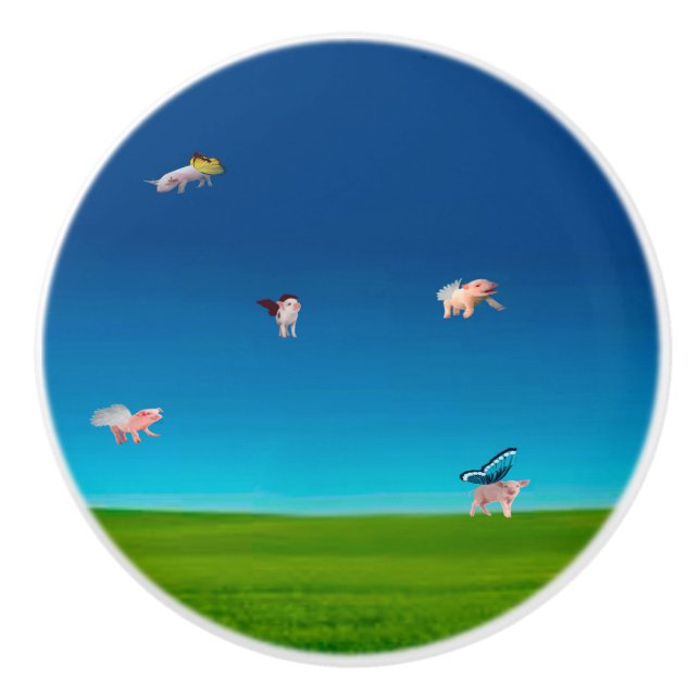 Pomo de cerdos voladores (Anverso)