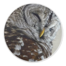 Pomo de la puerta de búho de cerámica