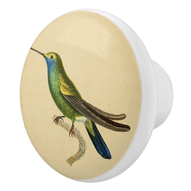 Pomo del cajón del colibrí verde vintage (Derecha)