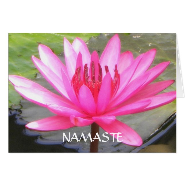 Pond Lotus Tranquility l Namaste (Anverso (Horizontal))