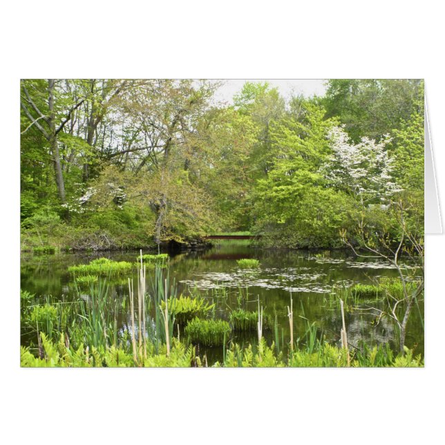Pond Notecard (Anverso (Horizontal))