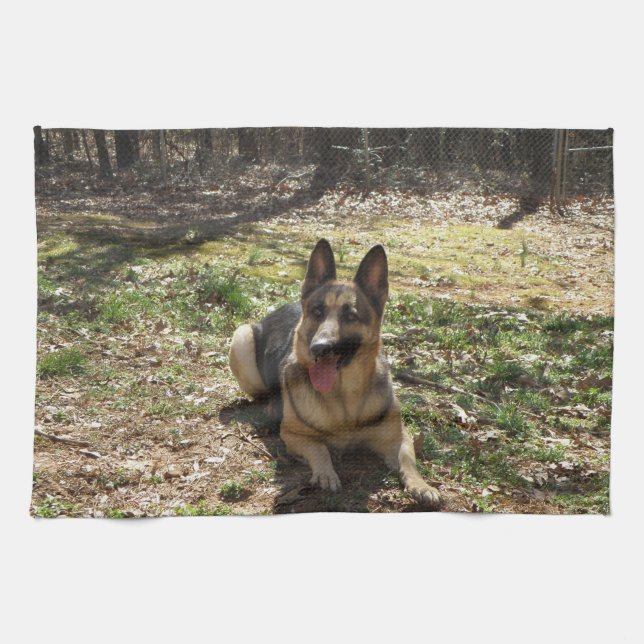 Ponga a su bebé en una toalla de mano del mojo (Horizontal)