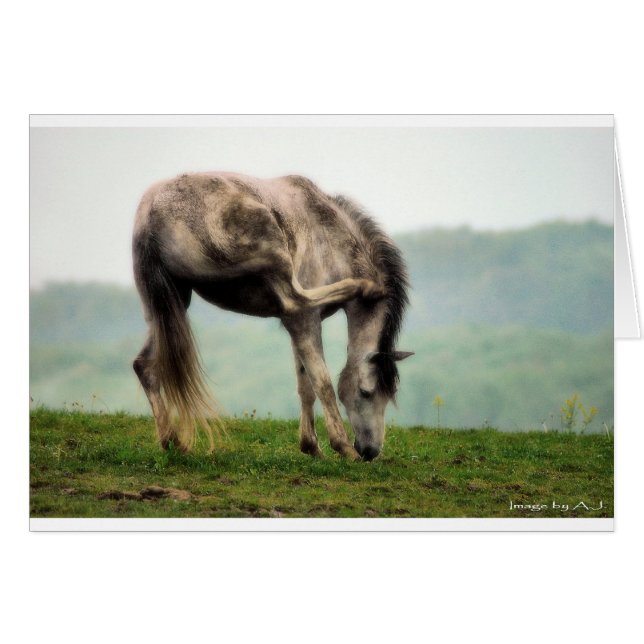poni (Anverso (Horizontal))