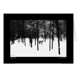 Ponía espiritual en la carta de niebla