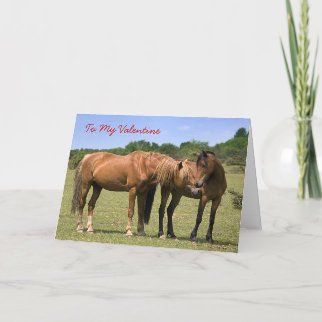Ponies en la tarjeta de amor - San Valentín (Anverso)