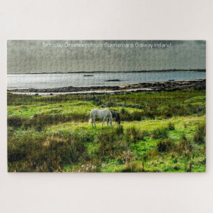 ponis de Connemara Galway Irlanda. Rompecabezas