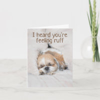 Ponte bien pronto la tarjeta de dormir shihtzu del