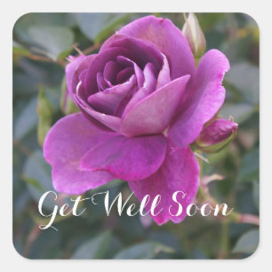 Ponte bien pronto, Pegatinas del Iceberg de Borgoñ