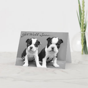 Ponte bien pronto tarjeta de cachorros Boston Terr