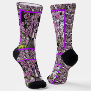 Pony Árabe Y Flores Baratos, Calcetines De Tripula