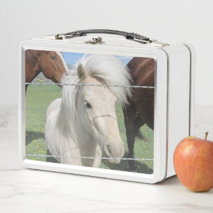 Pony blanco