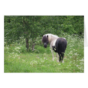 Pony de pintura negra y blanca en hierba y flores