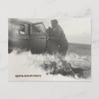 Pony en la tarjeta postal del coche