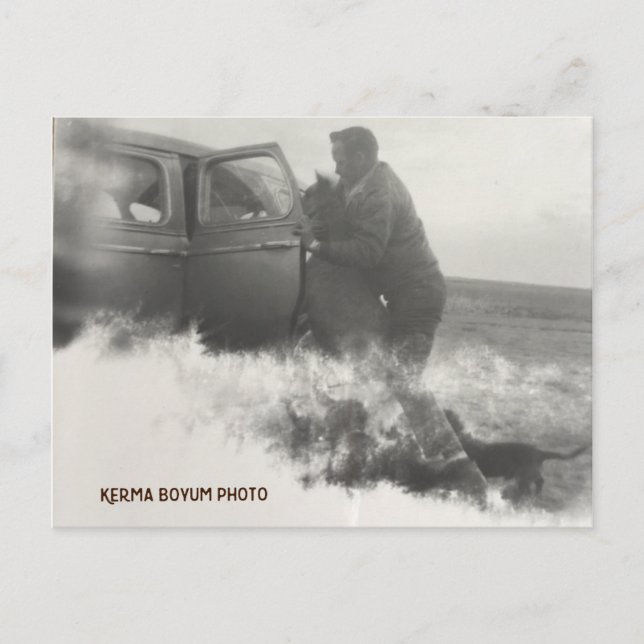 Pony en la tarjeta postal del coche (Anverso)