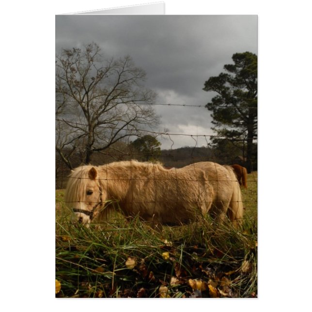 Pony en miniatura rubia / caballo (Frente)