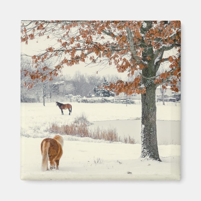 Pony en Nieve con imán de árbol (Frente)