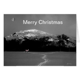 Pony espiritual bajo la tarjeta de Navidades de la