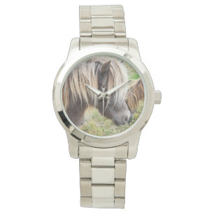 Pony Shetland, malo, día del cabello, reloj de pla