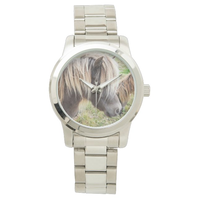 Pony Shetland, malo, día del cabello, reloj de pla (Anverso)