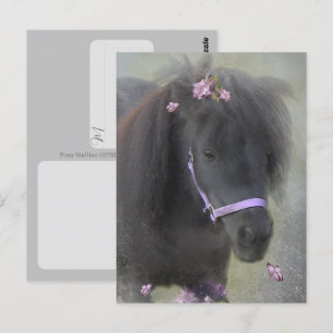 Pony - Tarjeta postal