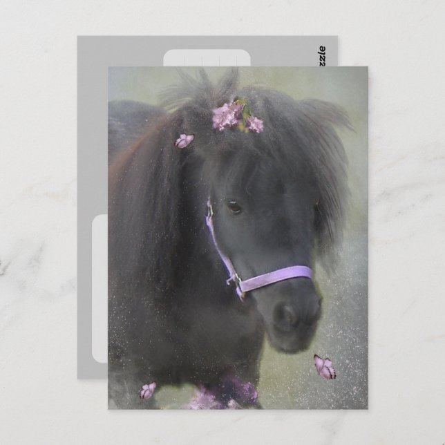 Pony - Tarjeta postal (Anverso / Reverso)