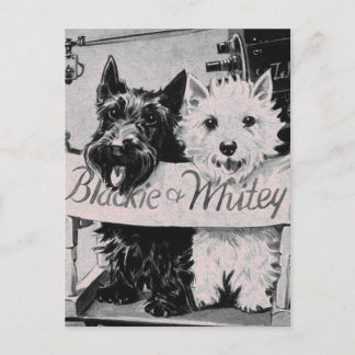 * Poochocitos clásicos de Bonito de postal rosa *